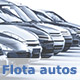 FLOTA AUTOS